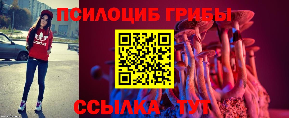 Псилоцибиновые грибы Cubensis  Галлюциногенные грибы мухоморы  Ленинск-Кузнецкий  Вход с VPN 
